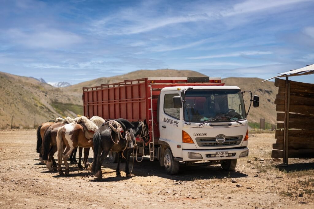Rural mountain scene with horses and a towing vehicle